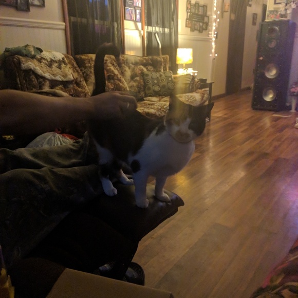 👉Meet your posher👈 Danielle - Picture 5 of 7